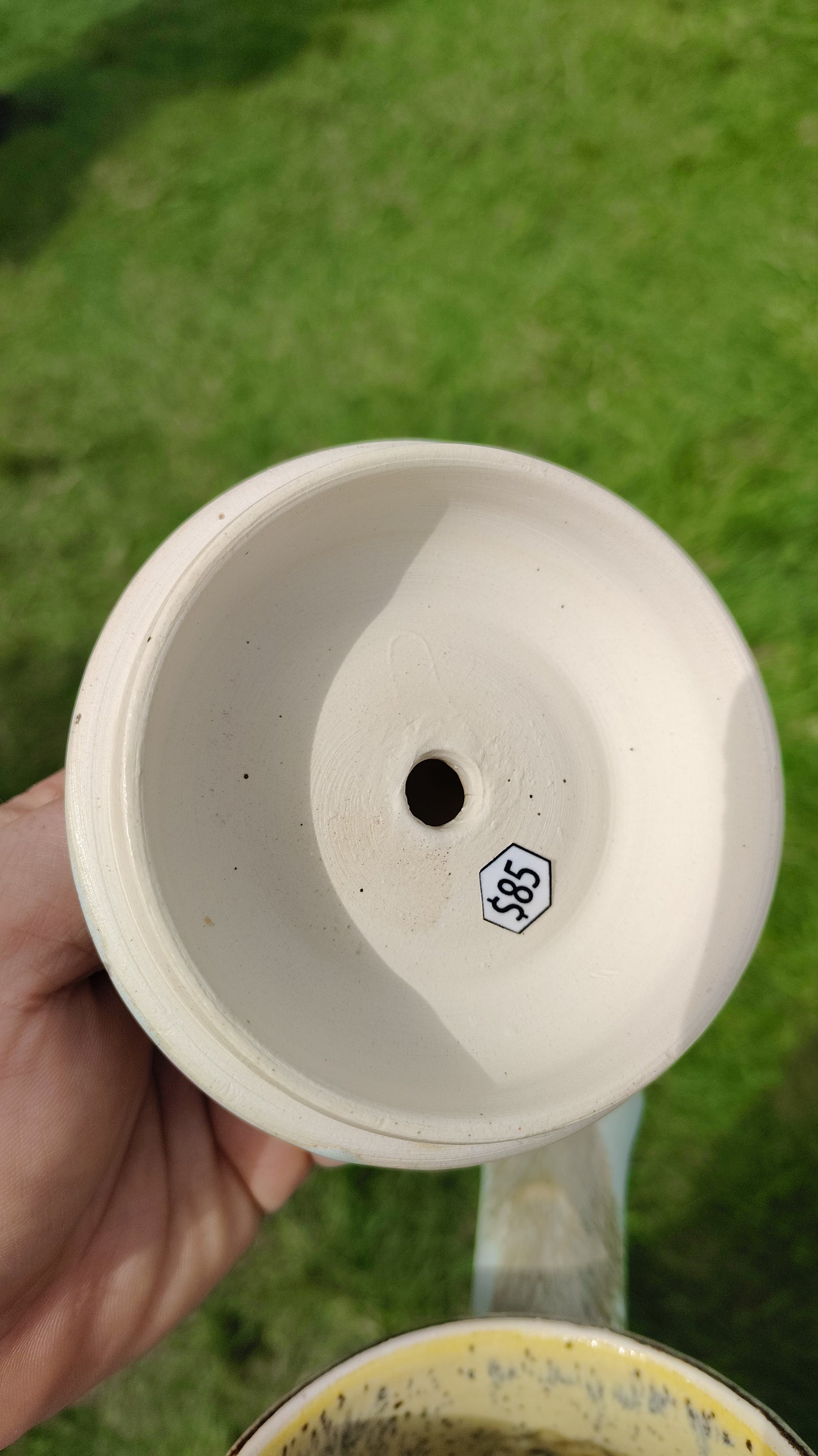 Tea Pot